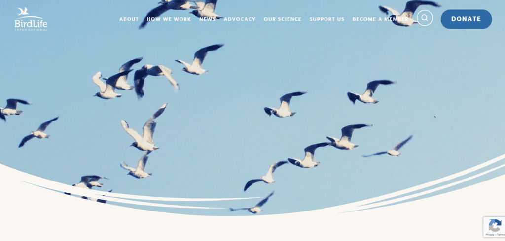 sustainability website design - Top 16 Sustainability Website Design Examples sustainability website design - Top 16 Sustainability Website Design Examples Screenshot 2025 05 15 215718