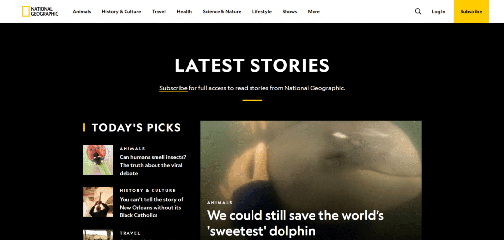 yellow and black websites - Top 10 Best-Designed Yellow and Black Websites yellow and black websites - Top 10 Best-Designed Yellow and Black Websites Screenshot 2025 05 16 214541