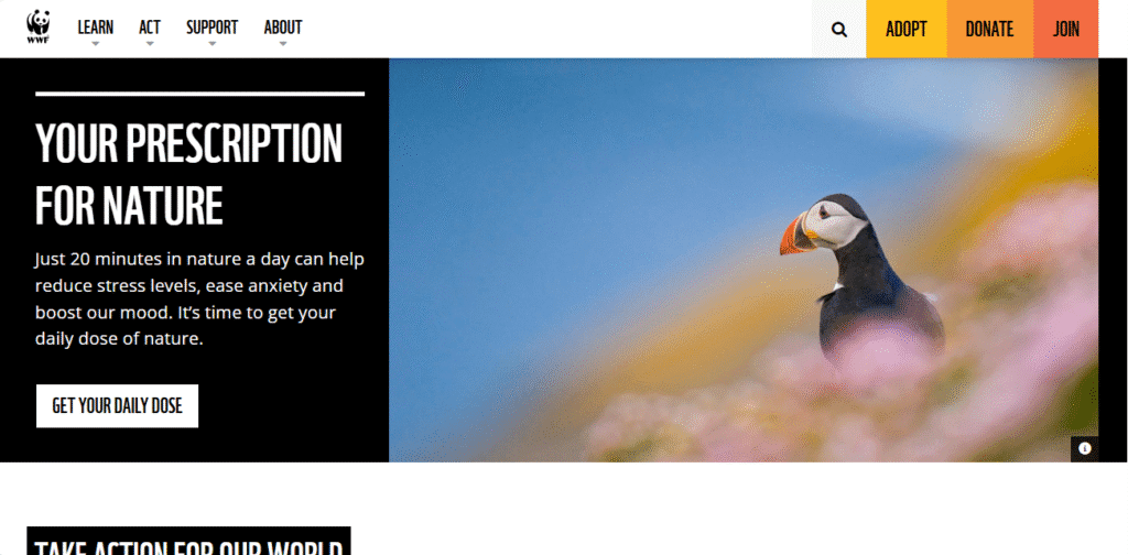 natural resources website - Top 11 Natural Resources Website Examples | Website Inspiration For Your Company natural resources website - Top 11 Natural Resources Website Examples | Website Inspiration For Your Company image 123