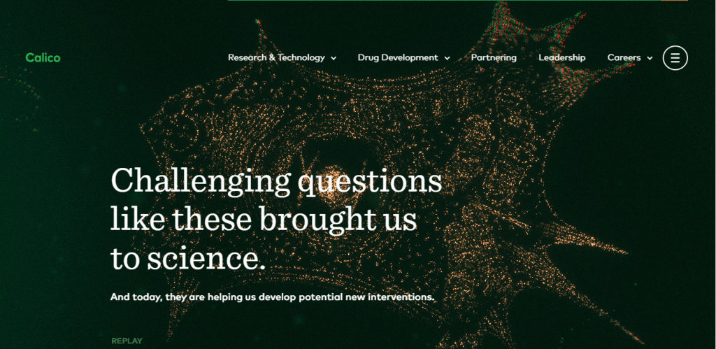 black and green website design - 15 Striking Black and Green Website Designs for Inspiration black and green website design - 15 Striking Black and Green Website Designs for Inspiration image 163