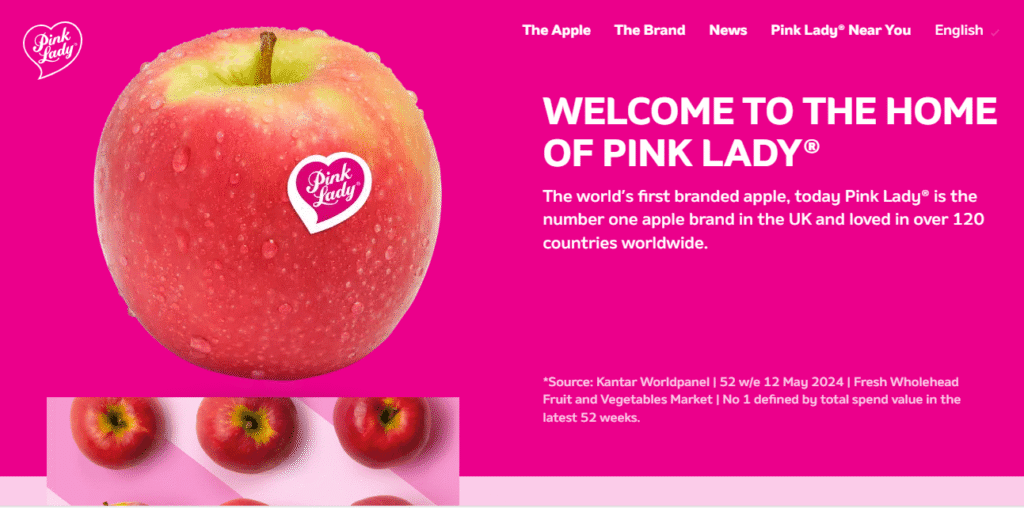pink and white website design - Top 13 Pink and White Website Designs for Modern Brands pink and white website design - Top 13 Pink and White Website Designs for Modern Brands image 283
