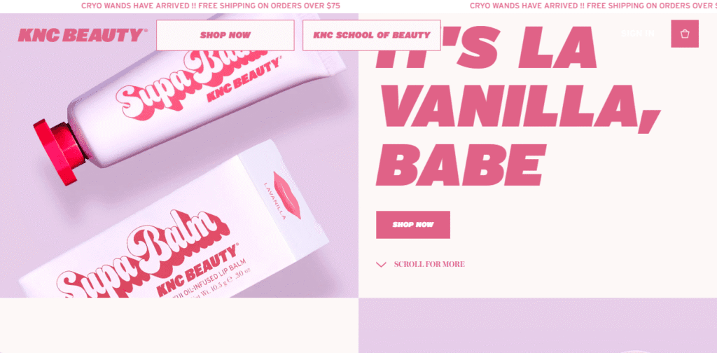 pink and white website design - Top 13 Pink and White Website Designs for Modern Brands pink and white website design - Top 13 Pink and White Website Designs for Modern Brands image 290