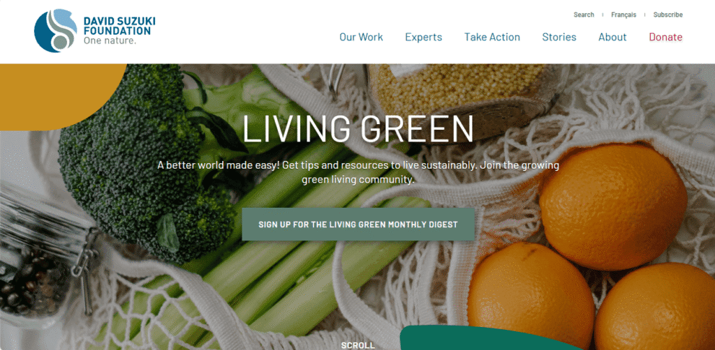 nonprofit website - Top 12 Inspiring NonProfit Website Designs for Modern Causes nonprofit website - Top 12 Inspiring NonProfit Website Designs for Modern Causes image 39
