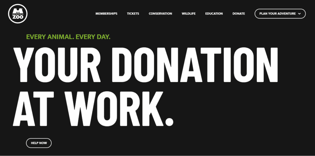 nonprofit website - Top 12 Inspiring NonProfit Website Designs for Modern Causes nonprofit website - Top 12 Inspiring NonProfit Website Designs for Modern Causes image 41
