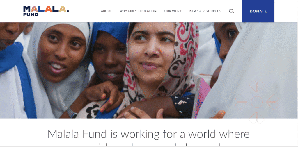 nonprofit website - Top 12 Inspiring NonProfit Website Designs for Modern Causes nonprofit website - Top 12 Inspiring NonProfit Website Designs for Modern Causes image 42
